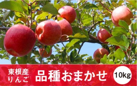 A-0640　2019年産　りんご(品種おまかせ)10kg JA提供