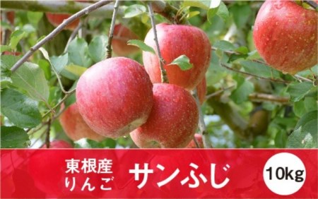 A-0648　2019年産　りんご「サンふじ」10kg JA提供
