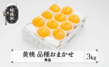 先行予約 もも 有袋黄桃 秀品 品種おまかせ 3kg 化粧箱入 フルーツ 果物 2025年産 令和7年産 山形県産 桃 黄桃 モモ 送料無料 ※沖縄・離島への配送不可 ns-mootx3