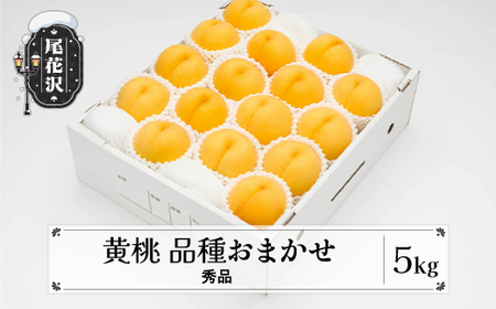 先行予約 もも 有袋黄桃 秀品 品種おまかせ 5kg 化粧箱入 フルーツ 果物 2025年産 令和7年産 山形県産 桃 黄桃 モモ 送料無料 ※沖縄・離島への配送不可 ns-mootx5