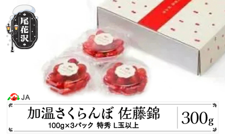 s\  nEX    100g×3P _CpbN GLʈȏ  4{~5{ o R`Y ߘa8NY  2026NY ja-snpcx300