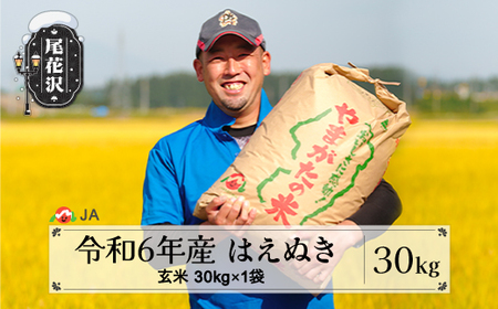 新米 令和6年産 はえぬき 玄米 30kg  2024年産 山形県産 尾花沢市産 米 お米 ja-hagxb30 ※沖縄・離島への配送不可