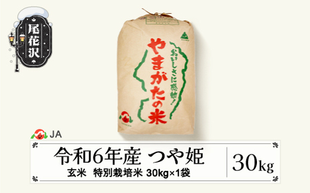 新米 令和6年産 特別栽培米 つや姫 玄米 30kg  11月下旬～3月下旬発送 2024年産 山形県産 尾花沢市産 米 お米 ja-tsgtb30 ※沖縄・離島への配送不可