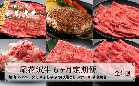 [定期便 全6回]山形県産 黒毛和牛 焼肉 ハンバーグ しゃぶしゃぶ ステーキ すき焼き 切り落とし 山形牛 尾花沢牛 お肉 国産 牛肉 山形県 尾花沢市 nj-tkogx6