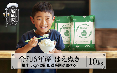 新米 令和6年産 はえぬき 精米 10kg 11月下旬〜3月下旬発送 2024年産 山形県産 尾花沢市産 米 お米 ja-hasxb10 ※沖縄・離島への配送不可
