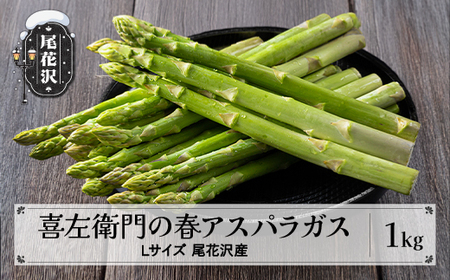 썶q̏tAXpKX LTCY 1kg 5{~ ߘa8NY 2026NY O[AXpKX AXpKX AXp ̂ R` ԑs  _ƒ Yn ① ①z  kz-vga1x1