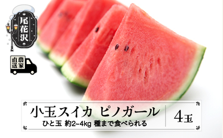 タネまで食べられる小玉スイカ ピノガール (約2〜4kg)×4玉 7月中旬〜8月上旬頃発送 尾花沢産 山形県 小玉 スイカ すいか 西瓜 令和7年産 2025年産 観光物産 kb-supgx4