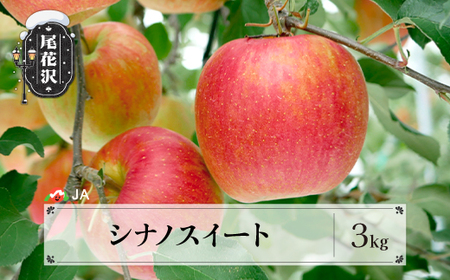 先行予約 シナノスイート 3kg 10月上旬〜11月上旬頃発送 令和7年産 2025年産 りんご リンゴ 果物 フルーツ 山形県産 送料無料 ja-rissx3 ※沖縄・離島への配送不可