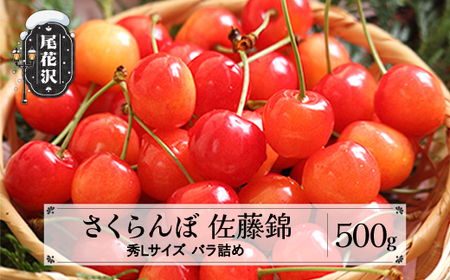 さくらんぼ 佐藤錦 秀Lサイズ 500g バラ詰め 先行予約 2025年産 令和7年産 プレゼント ギフト サクランボ (さくらんぼ 山形県産 佐藤錦 バラ詰め フルーツ ns-snslb500)