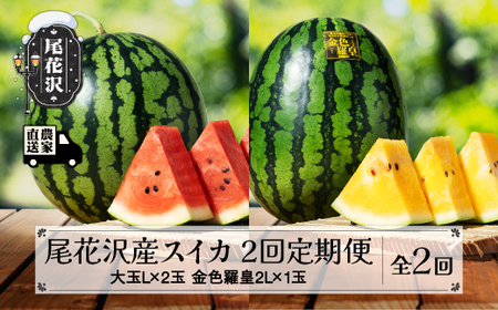 先行予約 尾花沢産スイカ 2回定期便 大玉 スイカ すいか 西瓜 金色羅皇 こんじきらおう 黄肉 黄金 金色 果物 フルーツ 定期便 食べ比べ 全2回 7月下旬〜8月中旬頃発送 2025年産 令和7年産 kb-tksu2