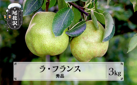 先行予約 ラ・フランス秀品 約3kg 11月中旬~12月中旬頃発送 山形県産 フルーツ 果物 くだもの ラフランス 洋梨 西洋梨 2025年産 令和7年産 佐竹物産 sb-lasyx3