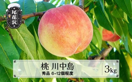 先行予約  桃 川中島 白桃 秀品 約3kg (6～12個程度) 8月中旬~9月中旬頃発送 山形県産 フルーツ 果物 くだもの もも モモ 2025年産 令和7年産 佐竹物産 sb-moknx3