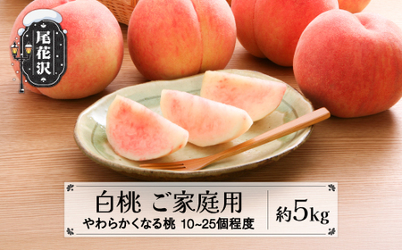 先行予約 訳あり 白桃 無印品 5kg (10-20個程度) 8月上旬頃~発送 山形県産 2025年産 令和7年産 (フルーツ 果物 くだもの 桃 訳あり もももももも モモモモモモ モモモモモモ) 2025年 令和7年 佐竹物産 sb-mohtw5