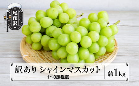 先行予約 訳あり シャインマスカット 無印品 1kg (1~3房程度) 9月上旬頃~発送 山形県産 2025年産 令和7年産 (フルーツ 果物 くだもの 葡萄 ぶどう ブドウ シャイン マスカット 訳あり シャインマスカット ) 佐竹物産 sb-busmw1000