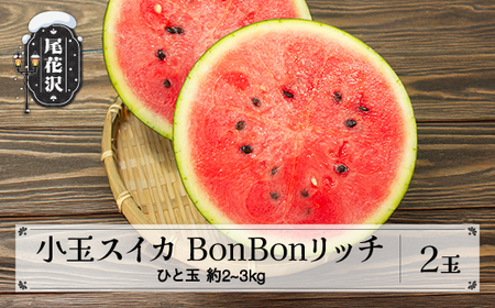 尾花沢産 小玉スイカ BonBonリッチ (約2~3kg)×2玉 7月下旬頃~発送 令和7年産 2025年産 山形県 尾花沢市 観光物産 kb-subrx2