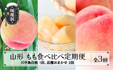 全3回 山形もも食べ比べ定期 便 秀品 7月下旬頃~発送 令和7年産 2025年産 白桃 モモ 果物 フルーツ 山形県産 送料無料 沖縄・離島への配送不可 JA ja-tkmox
