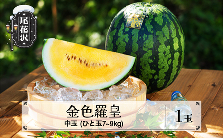 先行予約 尾花沢産すいか 金色羅皇 中玉 約7~9kg×1玉 7月下旬~8月上旬頃発送 令和7年産 2025年 こんじきらおう 黄色 ゴールド 甘い 中玉 すいか スイカ 西瓜 フルーツ 果物 産地直送 農産加工 ※沖縄・離島への配送不可 nk-sukr21