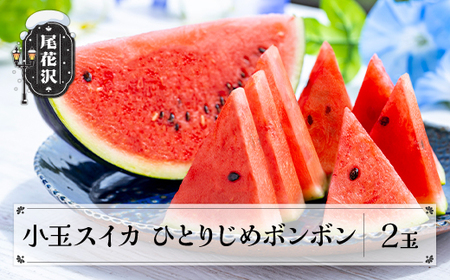 尾花沢 小玉スイカ ひとりじめBonBon 2玉 秀品 7月中旬〜8月上旬頃発送 2026年産 令和8年産 佐竹物産 sb-sukbx2