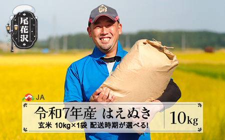 令和7年産 新米 玄米 はえぬき 10kg 配送時期選べる 12月下旬~3月下旬発送 2025年産 米 お米 国産 山形県 尾花沢市 ja-hagxa10