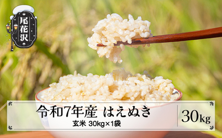 ys\zߘa7NY V  ͂ʂ 30kg 11{~ 2025NY   Y R` ԑs kd-hagxa30