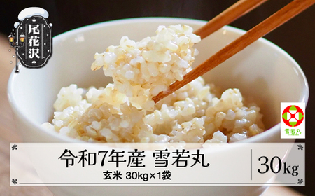 ys\zߘa7NY V   30kg 11{~ 2025NY   Y R` ԑs kd-ywgxa30