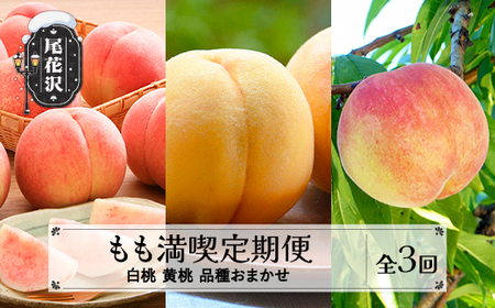 [先行予約] フルーツ定期便 全3回 もも満喫定期便 白桃 黄桃 品種おまかせ 秀品 2026年8月上旬頃~発送開始 2026年産 令和8年産 佐竹物産 ※沖縄・離島への配送不可 sb-ftmox3-b