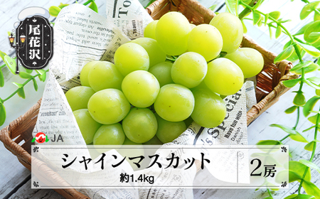 先行予約 シャインマスカット 2房 約1.4kg 令和8年産 2026年産 山形県産 果物 フルーツ ぶどう ブドウ ja-busmx1400