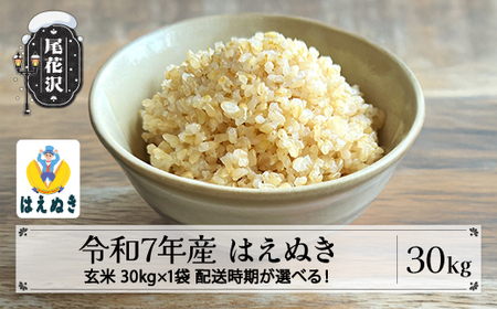 令和7年産 新米 玄米 はえぬき 30kg 30kg×1袋 配送時期選べる 1月上旬~3月下旬発送 2025年産 米 お米 国産 山形県 尾花沢市 kg-hagxa30