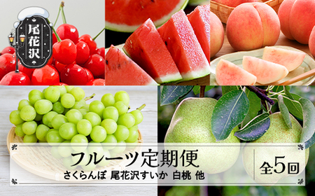 【先行予約】フルーツ定期便 全5回 さくらんぼ スイカ もも シャインマスカット ラ・フランス 令和8年産 sb-ft5xx-b