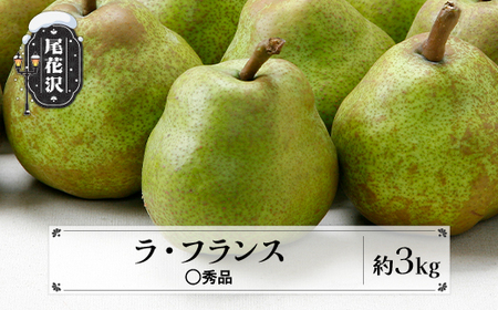 先行予約 ラ・フランス ◯秀品 約3kg 令和8年産 2026年産 佐竹物産 sb-lamsx3