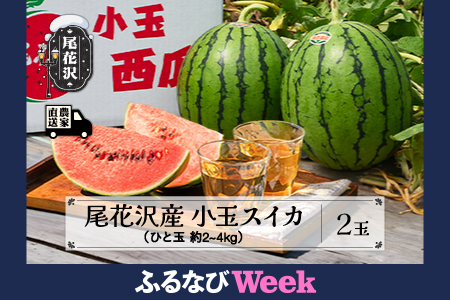 [ふるなびWEEK対象]尾花沢産 小玉スイカ 2玉 令和8年産 すいか kb-sukxx2-7b-navi FN-Limited-WE