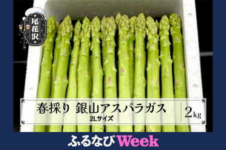 [ふるなびWEEK対象]春採り 銀山アスパラガス 2Lサイズ(極太) 2kg 令和8年産 nk-vga2x2-navi FN-Limited-WE
