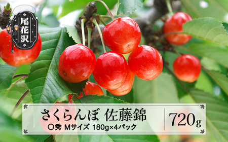 先行予約 さくらんぼ 佐藤錦 720g(180g×4パック) Mサイズ 〇秀 山形県産 令和8年産 2026年産 sb-snpmx800