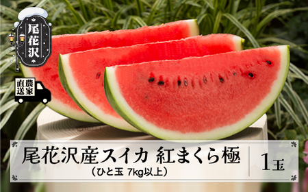 尾花沢産スイカ 紅まくら 極 きわみ 2Lサイズ(7kg)以上 1玉 令和8年産 kb-submk1