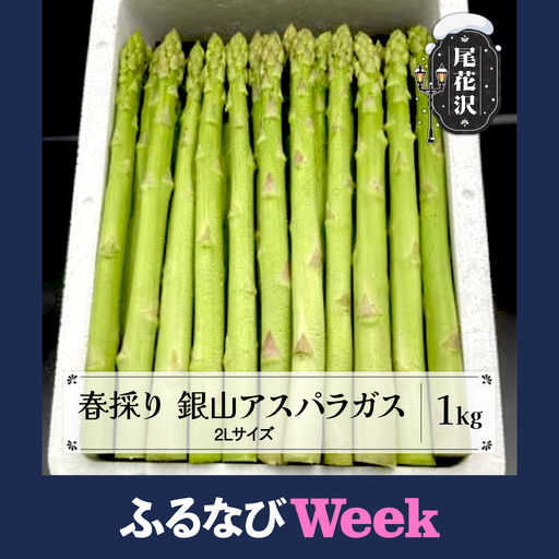 [ふるなびWEEK対象]春採り 銀山アスパラガス 2Lサイズ(極太) 1kg 令和8年産 nk-vga2x1-navi