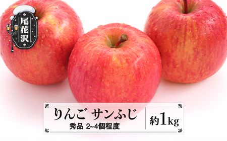 先行予約 サンふじ りんご 約1kg (2~4個程度) 秀品 11月中旬~12月中旬頃発送 令和8年産 2026年産 sb-risfx1-b