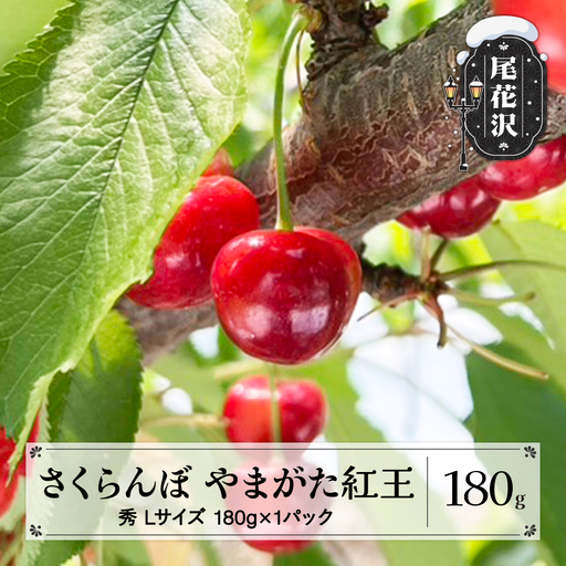 先行予約 さくらんぼ やまがた紅王 180g Lサイズ 秀品 山形県産 令和8年産 2026年産 sb-ybslx180
