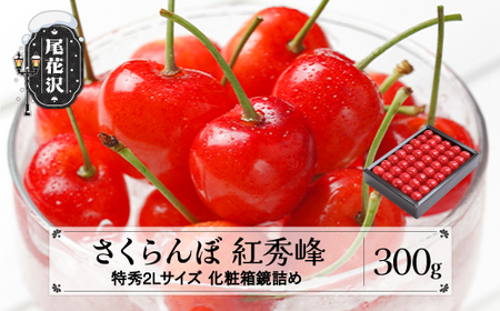 先行予約 さくらんぼ 紅秀峰 特秀2Lサイズ 300g 化粧箱鏡詰め 2025年産 令和7年産 山形県産 サクランボ ギフト 贈答 ns-bst2x300