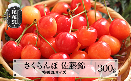 先行予約 さくらんぼ 佐藤錦 特秀2Lサイズ プレゼント ギフト 化粧箱鏡詰め 300g 2024年産 令和6年産 山形県産 ns-snt2x300