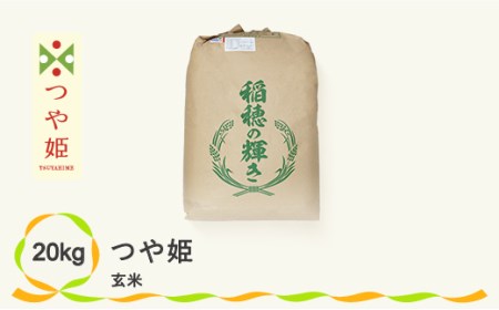 米 玄米 20kg  つや姫 令和3年産 山形県尾花沢市産 kb-tsgxa20