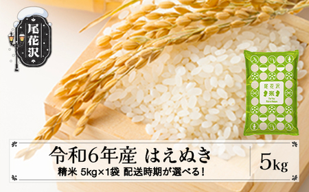 新米 米 精米 5kg 5kg×1袋 はえぬき 令和6年産 2024年産 尾花沢市産 kb-hasxb5