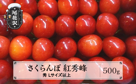 先行予約 さくらんぼ 紅秀峰 500g 秀 Lサイズ以上 化粧詰め 2025年産 令和7年産 (サクランボ 果物 フルーツ 尾花沢産 山形県産 山形 kb-bskzx500)