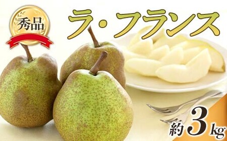 [令和8年産先行予約] ラ・フランス 約3kg (6〜14玉 秀) [令和8年10月下旬〜11月下旬発送] 『フードシステムズ』 ラフランス 西洋梨 洋なし 果物 山形県 南陽市 [848-R8]