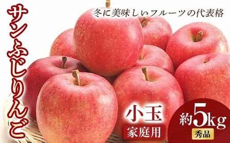 [令和8年産先行予約] [家庭用] 小玉 サンふじりんご 約5kg (20〜25玉 秀) [令和8年11月中旬〜12月下旬発送] 『フードシステムズ』 林檎 リンゴ 山形県 南陽市 [1392-R8]