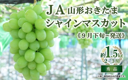 [令和7年産先行予約] JA シャインマスカット 約1.5kg (2〜3房 秀) [令和7年9月下旬〜発送] 『JA山形おきたま』 山形県 南陽市 [2054]