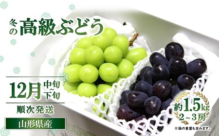 [令和7年産先行予約] JA 冬の高級ぶどう 「シャインマスカット + ウィンク」 約1.5kg (計2〜3房 秀) [令和7年12月中旬〜下旬発送] 『JA山形おきたま』 山形県 南陽市 [2056]