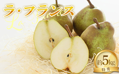 yߘa8NYs\z EtX 5kg (14`16 G 3`4L) sߘa8N11{`t wNOWAt[cx tX m mȂ ʕ t[c [2065-R8]