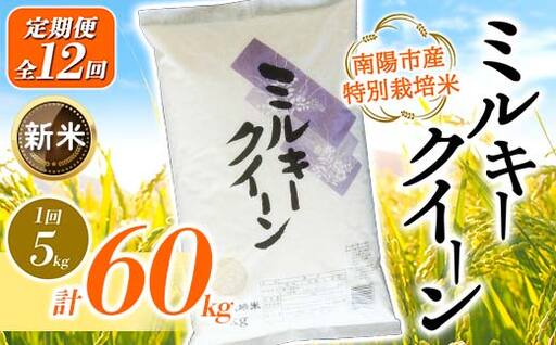 【令和8年産 新米 先行予約】 【金賞受賞農家】 《定期便12回》 特別栽培米 ミルキークイーン 5kg×12か月 《令和8年9月下旬～発送》 『あおきライスファーム』 山形南陽産 米 白米 精米 ご飯 農家直送 山形県 南陽市 [1615-R8]