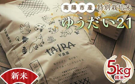 [令和6年産 新米 先行予約] 特別栽培米 ゆうだい21 5kg [令和6年10月下旬〜発送] 『平農園』 山形南陽産 米 白米 精米 ご飯 農家直送 山形県 南陽市 [1948-R6]