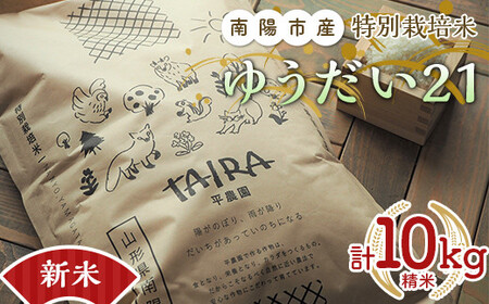 yߘa7NY V s\z ʍ͔| 䂤QP v10kg (5kg×2) sߘa7N10{`t w_x R`zY   _ƒ R` zs [2037-R7]